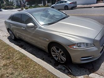 Jaguar Needs Starter