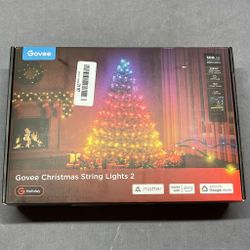 Govee Christmas Lights 2