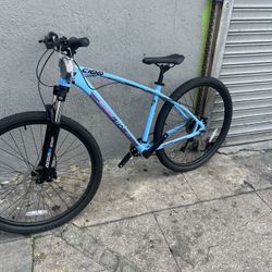 Collective C100 New