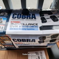Cobra Security Camera System.
