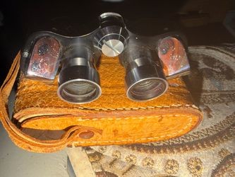 Plum vintage binoculars awesome find!!