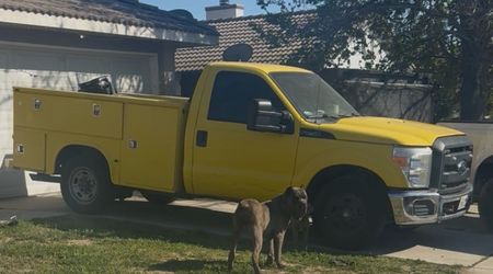 2014 Ford F-250