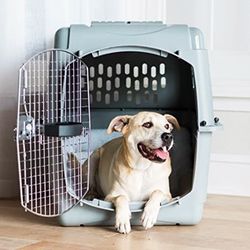 Pet Carrier 