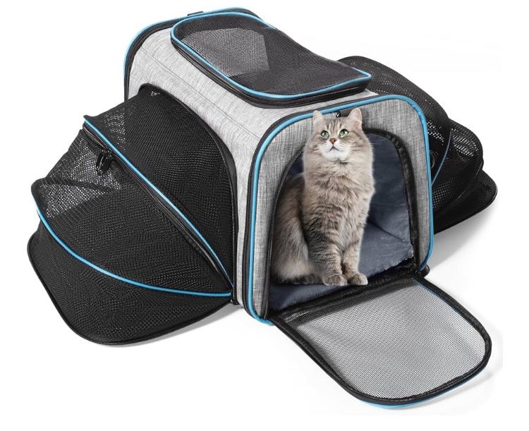 CatCarrier