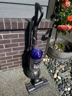 Dyson Ball Animal 2 upright vacuum