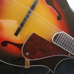 Berkeley Sunburst F-Style Mandolin Maple Back/Side