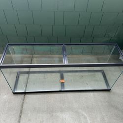 55 Gallon Fish Tank (Whole Set Up)