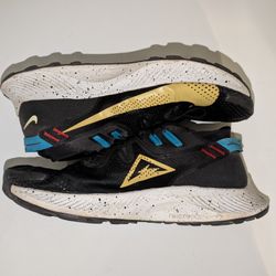 Nike Pegasus Shoes