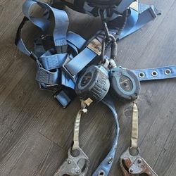 Harness 