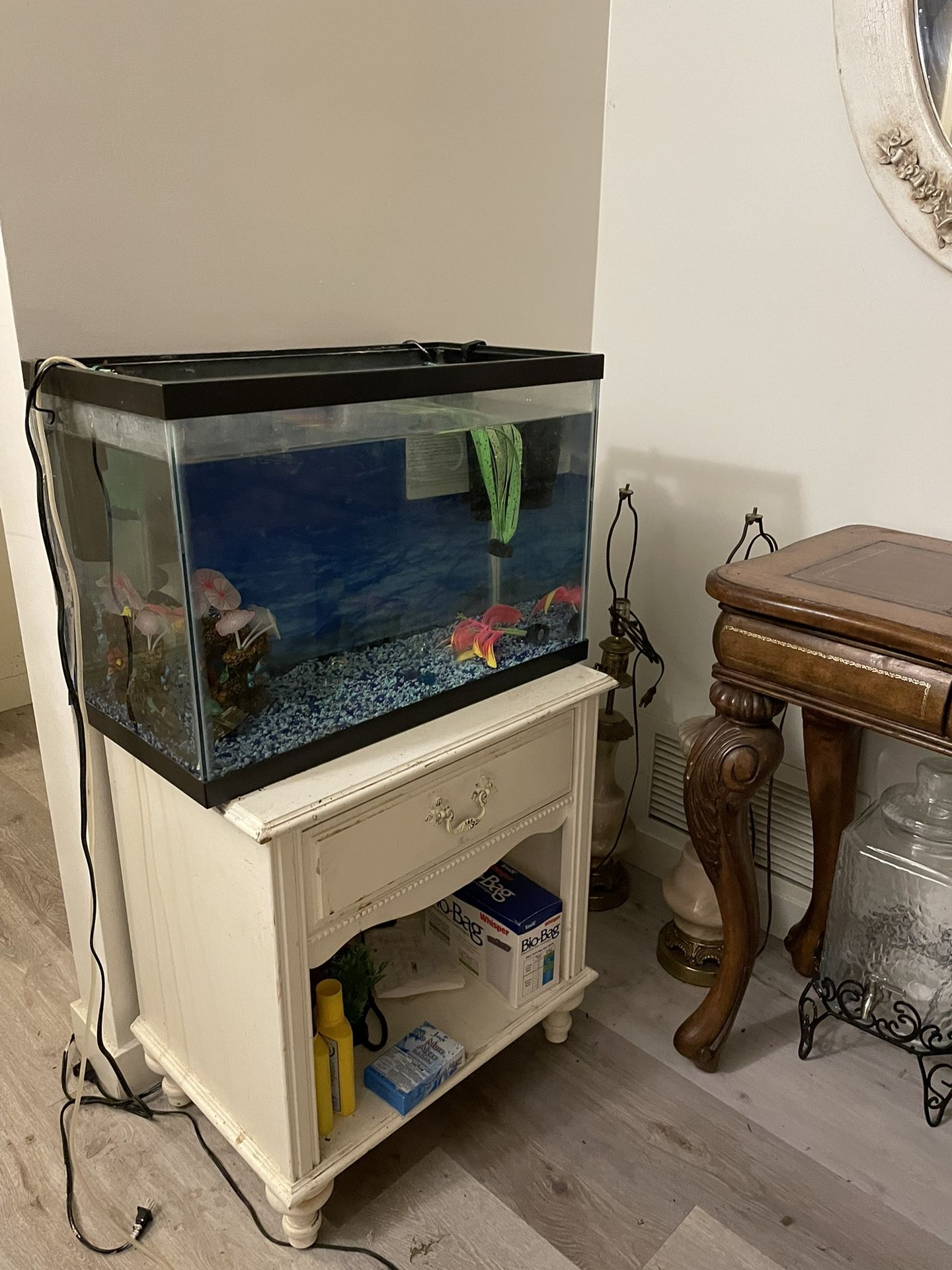 Beautiful Fresh Water Aquarium 20 Gallons