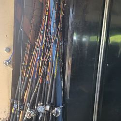 Fishing Rod And Reels