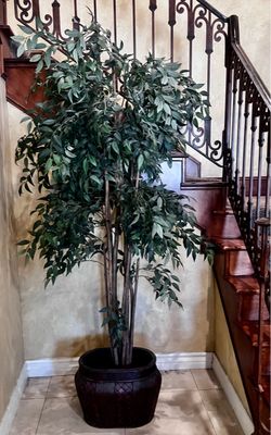 Luxury Aldik 77” Custom Ficus Tree – Real Wood Trunks + Planter