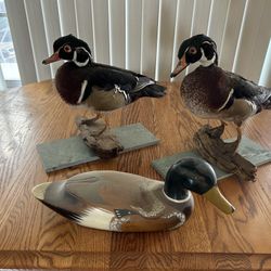 Wood Duck Taxidermy And Wooden Statue 
