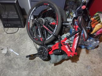 Euro Bike