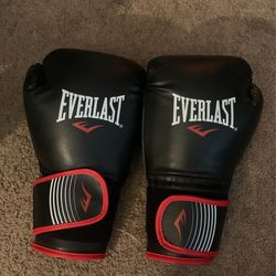 Everlast Boxing Gloves 