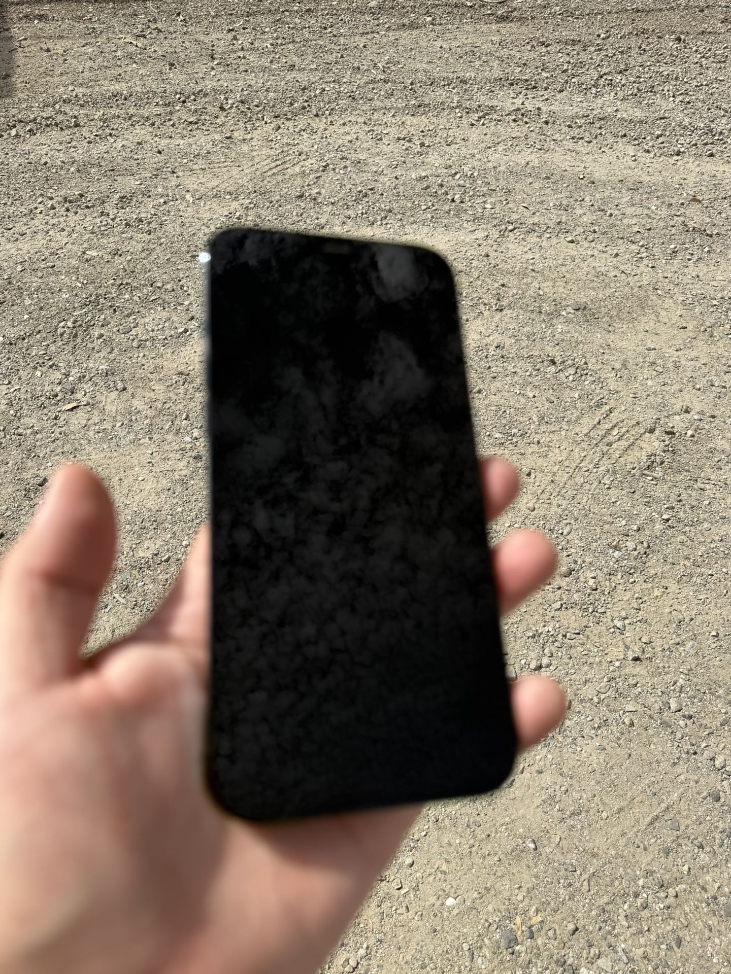 iPhone 12 Pro Max
