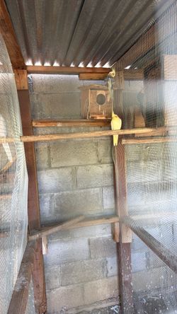 Cage message information
