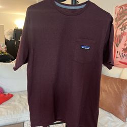 Patagonia Mens T-shirt