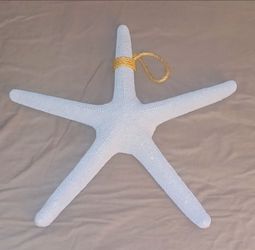 Wall Decoration TURQUOISE STAR FISH 🌟