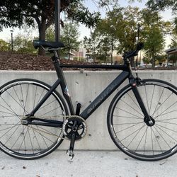 Aventon Mataro 55cm -Fixed Gear-Track Bike