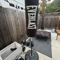 Everlast Punching Bag 