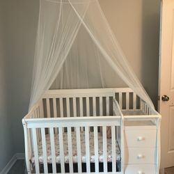 Baby Crib And Canopy 