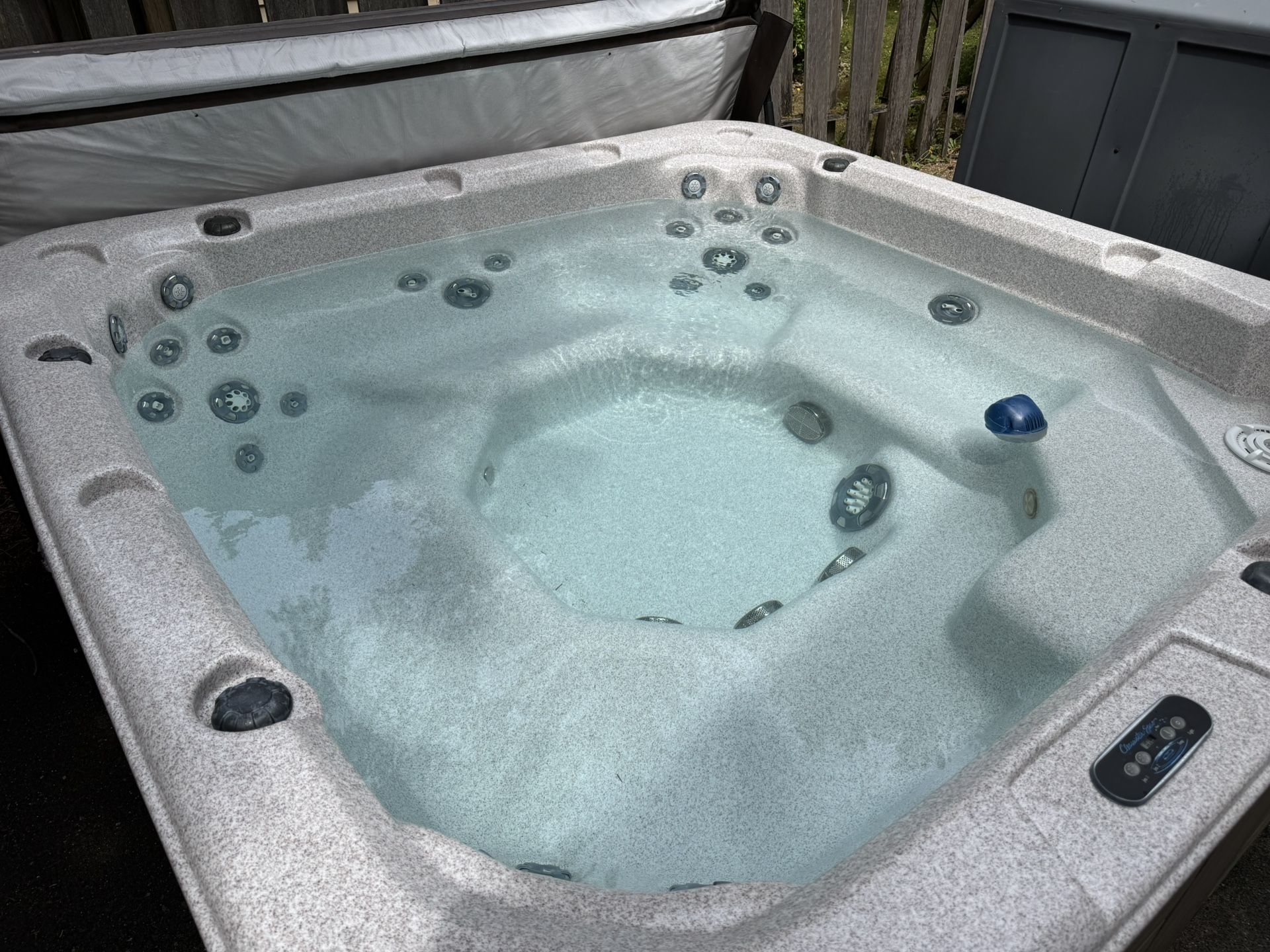 Clearwater Spas 93” Evergreen Hot Tub