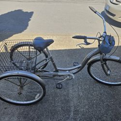 Schwinn Trike 