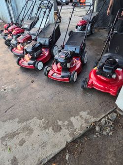 Lawn mower one yr garanty