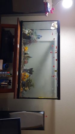 Use fish tank