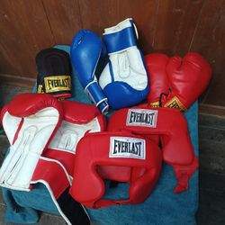 EVERLAST BOXING GLOVES