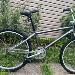 90s Redline 24" Cruiser - GT Haro Dyno ELF Robinson Hutch DK