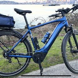 Electric Bike