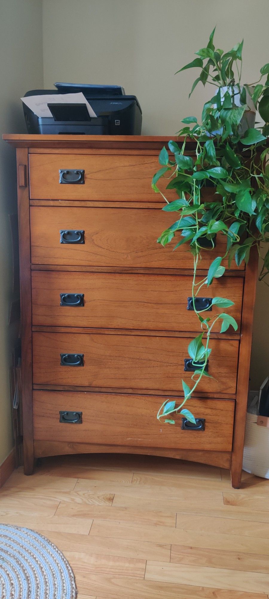 Chest Of Drawers / Dresser