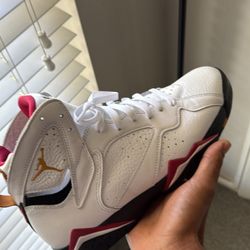 Jordan 7s 