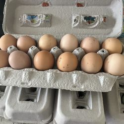 Fresh Organic Unwashed Eggs 