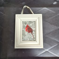 Cardinal Picture