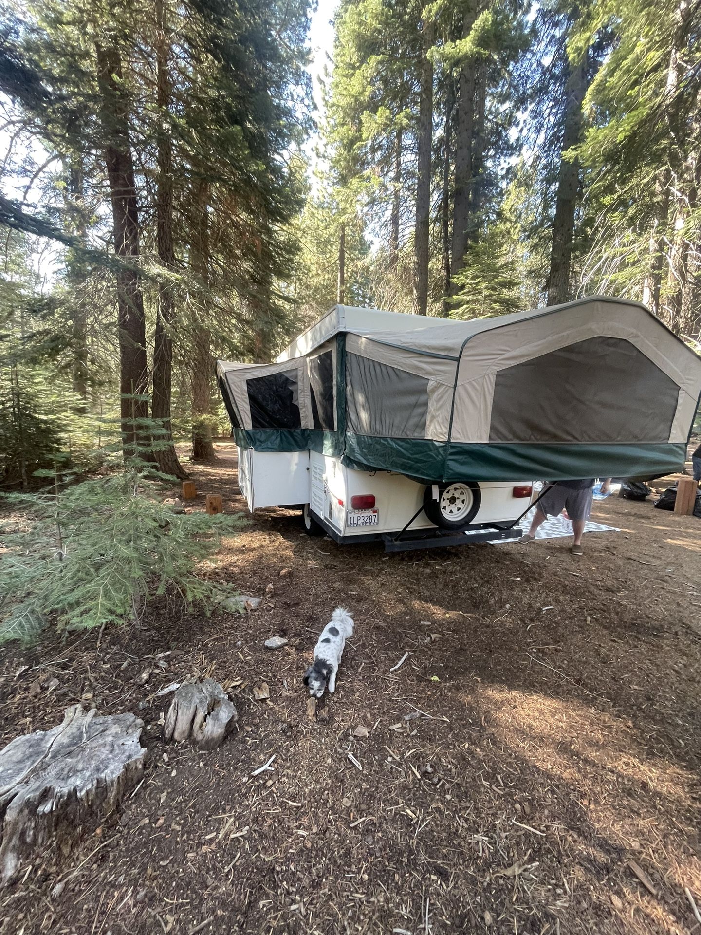 2007 Forest River Tent Trailer 