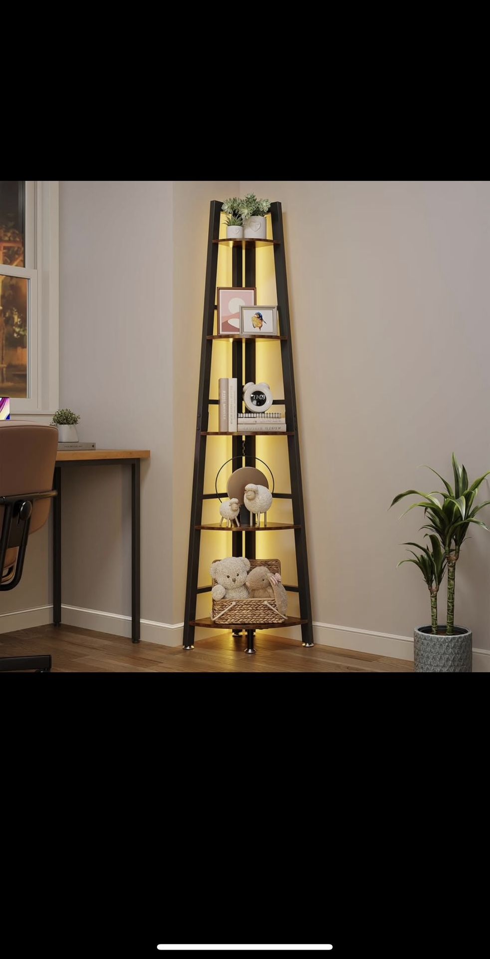 Corner Shelf with LED Light