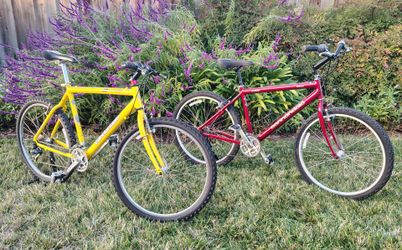Cannondale bike trio