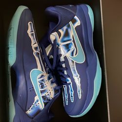 Kobe  X-Rays
