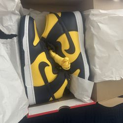 Nike Dunk Hi Retro SE