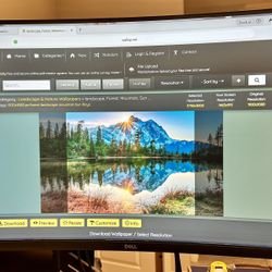Dell 32 Curved 4K UHD Monitor - S3221QS  