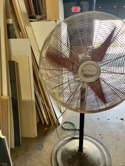 Fan