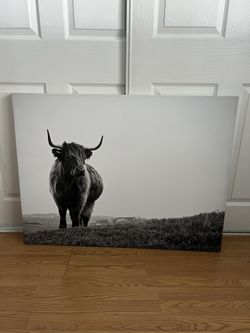 Canvas  Highland Cow