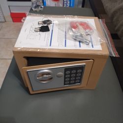 Electronic Safe 
