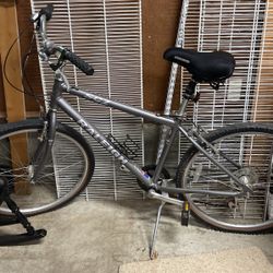 Raleigh Bike 