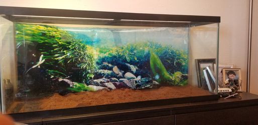 Large reptile aquarium (no cover)