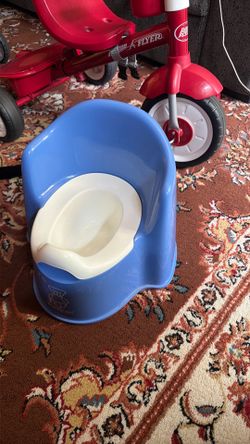 potty training for toddlers
