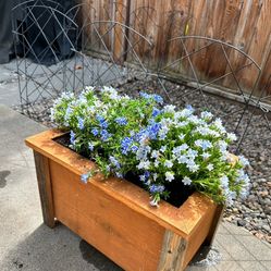 Custom Heavy Duty Cedar Planter Boxes